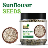 Sunflower Seeds - Wholesome Crunch that Fuels Your Body and Sharpens Your Mind